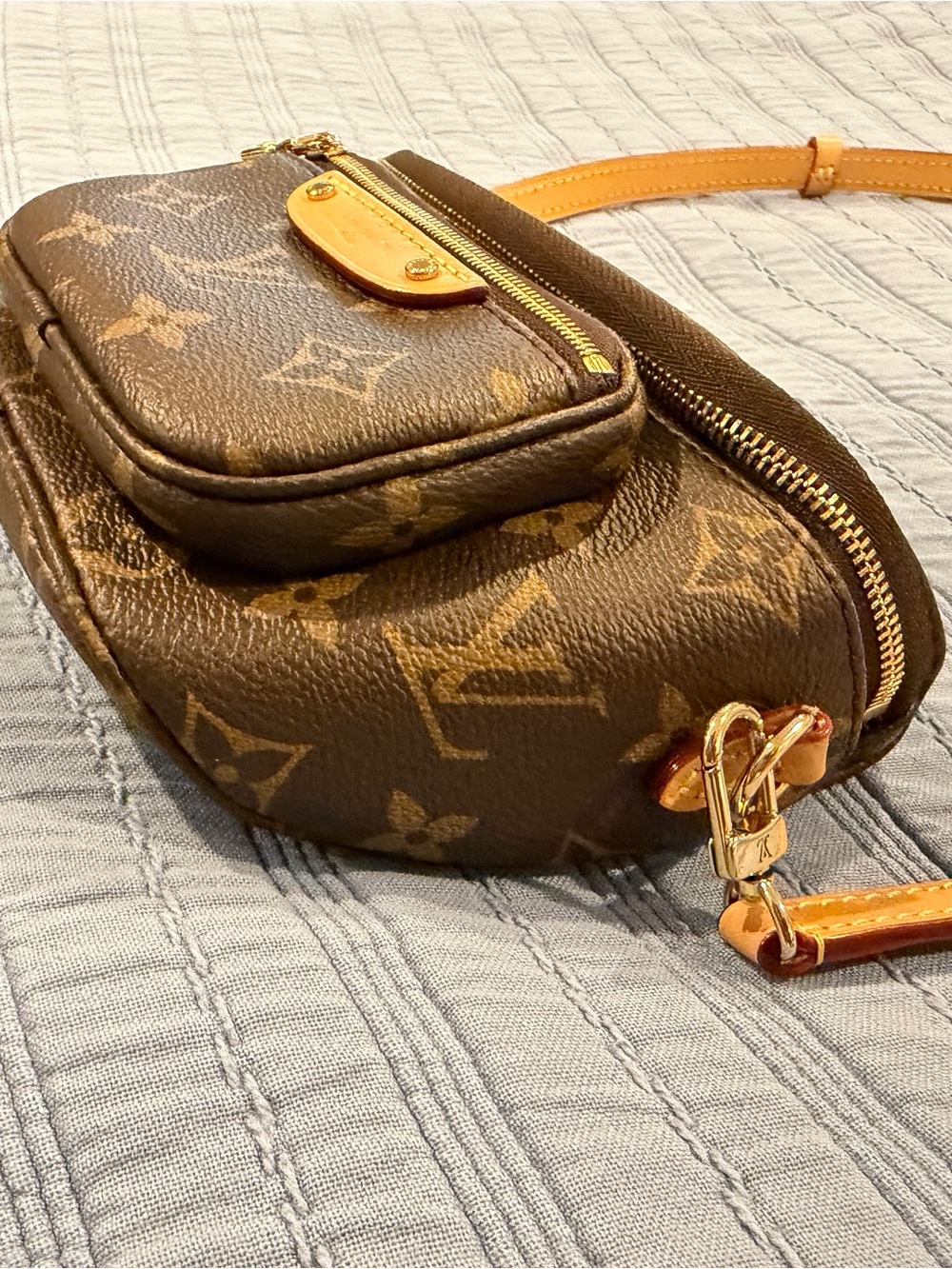 Louis Vuitton Monogram Mini Bumbag - Picture 10 of 13